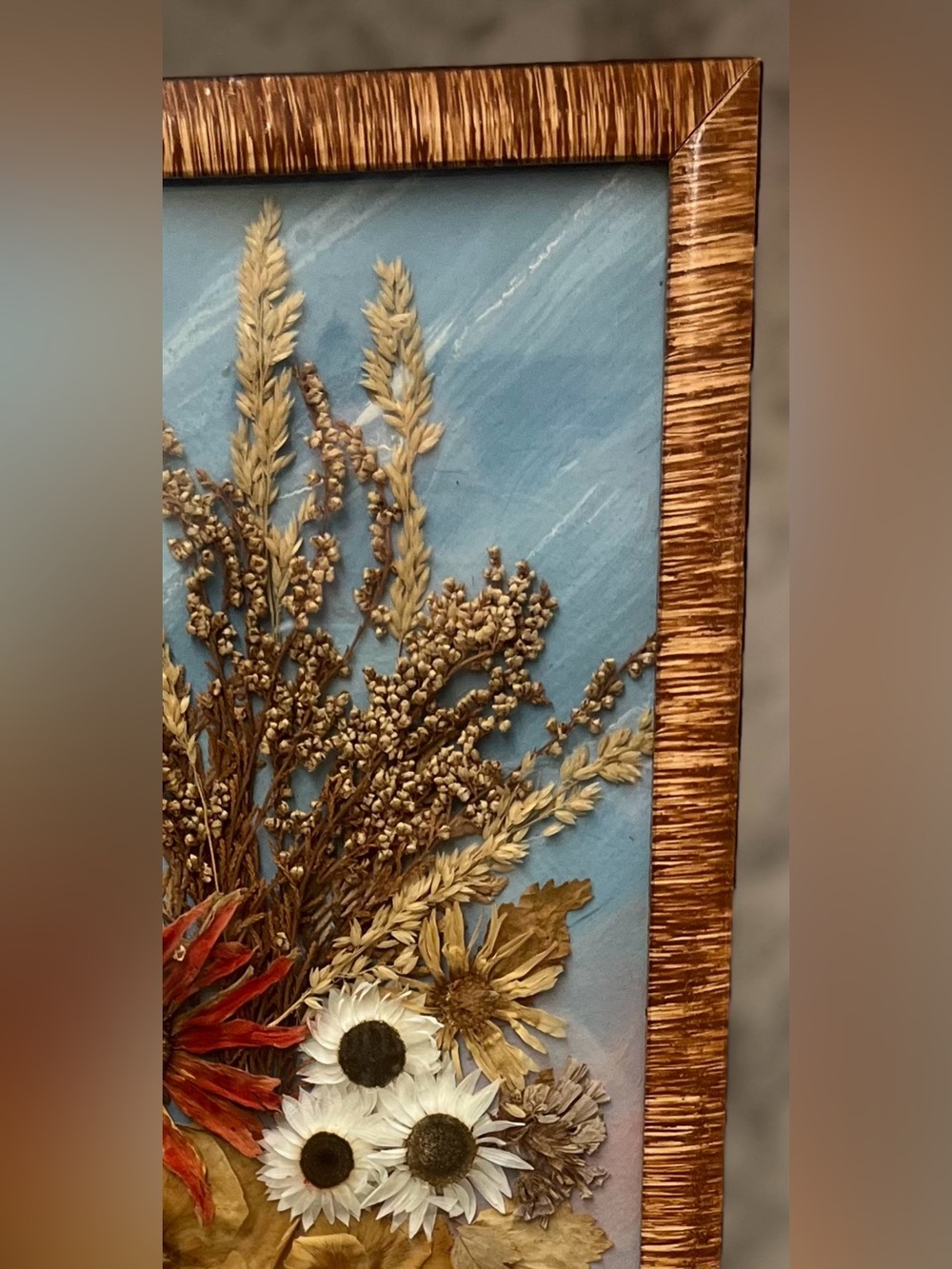 Vintage 1977 Polish Dried Flower Art,Rzeszów Botanical Shadow Box,16,5”x7,5” - Picture 9 of 12